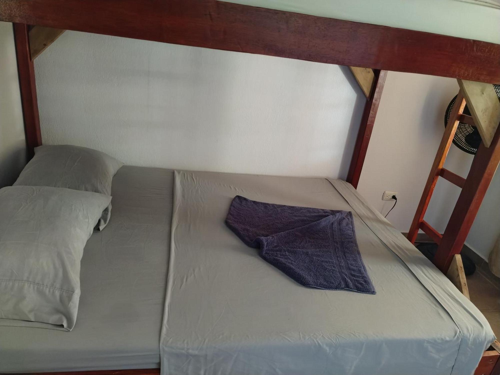 Bed and Breakfast Osa House - Drake Corcovado Tours à Drakes Bay Extérieur photo